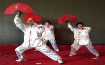 学功夫扇作文5篇