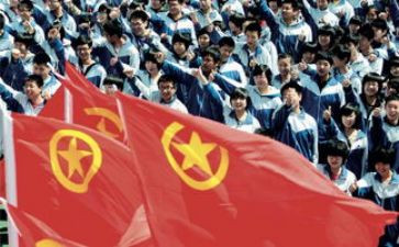 800字共青团申请书范文5篇