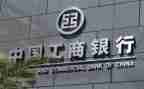 工商自我鉴定精选5篇