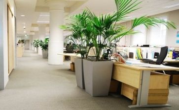 公司办安全工作计划8篇