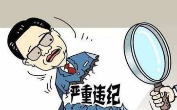 公职律师总结年度总结5篇
