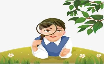 观察水仙作文6篇