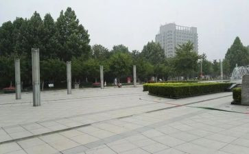 跳广场舞作文推荐7篇