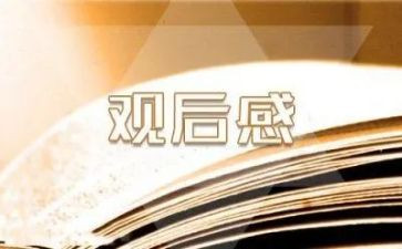 老师的心观后感推荐5篇