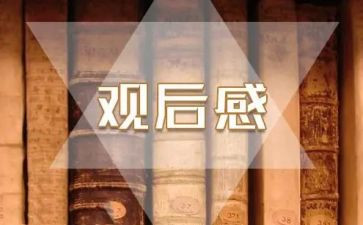 安全观后感优秀8篇