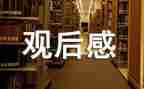 人物故事观后感7篇