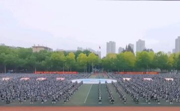 观训心得500字最新5篇