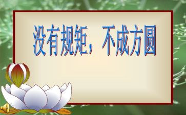 严纪律,守规矩心得体会6篇