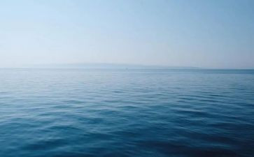 保护海洋生物的演讲稿6篇