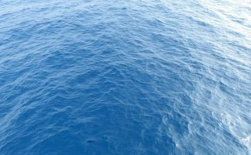 海洋类教案8篇