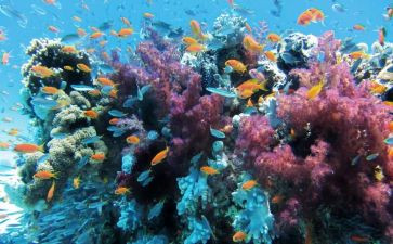 海底两万里读后感读后感200字7篇