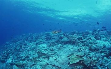 海底两万里作文600字读后感6篇