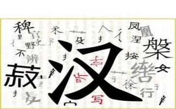小学汉字听写活动方案5篇