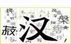 小学汉字听写活动方案5篇
