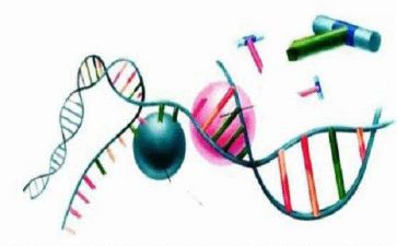 理化生组工作计划最新7篇