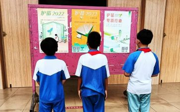护苗行动心得体会最新8篇