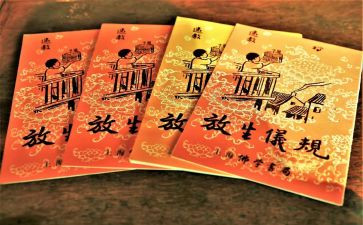 保护生态的作文7篇