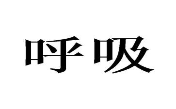 2024年呼吸内科护士工作计划5篇