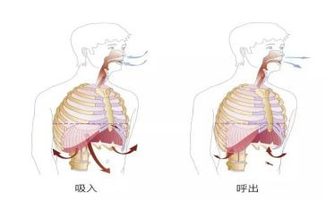 在呼吸科实习心得7篇