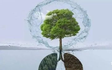 呼吸科2024年工作总结8篇