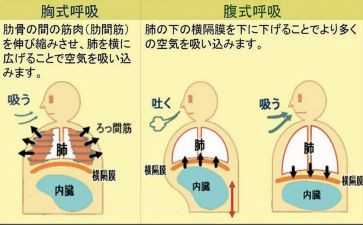 呼吸内科的自我鉴定优质5篇