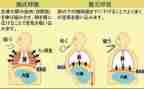 呼吸内科的自我鉴定优质5篇