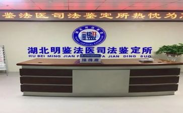 鉴定所工作总结通用6篇
