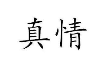 关于真情的作文通用5篇