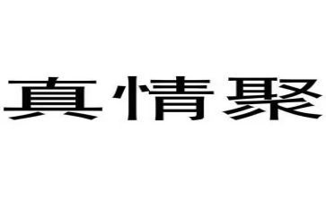 关于真情的作文8篇