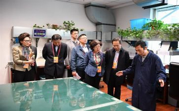 2024年村监委述职报告7篇