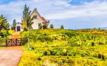 元旦见闻作文600字5篇