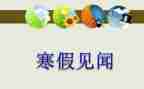国庆见闻的作文推荐7篇