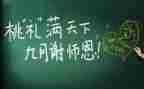 教师的个人工作总结范文模板7篇
