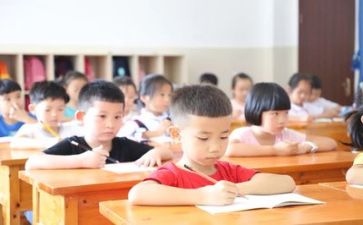 教学个人总结优质7篇