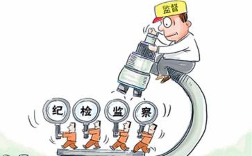 纪检组2024工作总结8篇