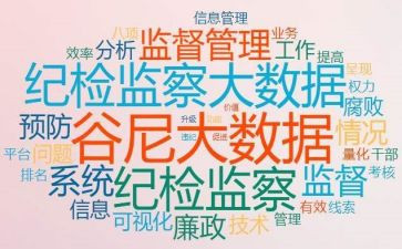 2024年纪检工作年度总结6篇