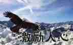 关于中考激励的演讲稿7篇