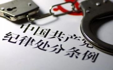 纪律周心得体会800字8篇