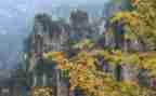 描写景的作文8篇