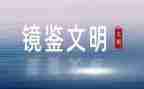 2024镜鉴心得体会7篇