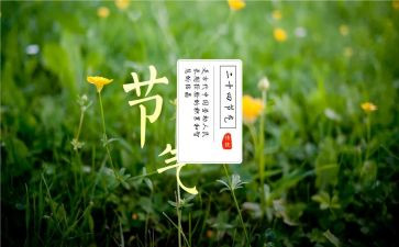 幼儿园节气活动总结6篇