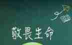 敬畏生命的教案7篇