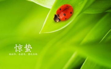 惊蛰健康教案5篇