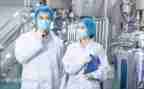 七上技术工作总结最新8篇