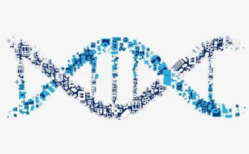 传承红色基因,争做时代新人活动方案6篇