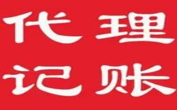 代理记账公司年度总结报告5篇