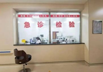 年急诊科工作计划5篇