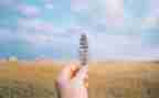 抉择作文600字模板8篇