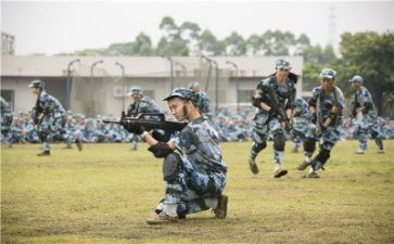 每日军训心得体会7篇