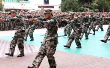 军训的作文600字优质7篇